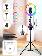 10Inch LED Ring Light, Two Section Adjustable 160Cm Tripod, Portable Fill Light for Live Streaming, Photo Selfies, Video Record